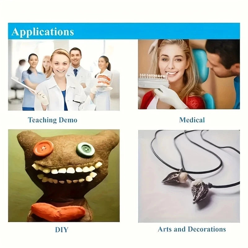 28pcs Dental Training Model Permanent Teeth Model Resin Denture Teeth Teaching Props Dentistry Technician Practice